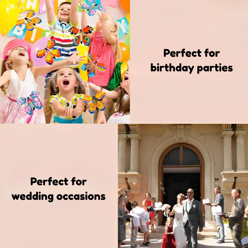 FlyButterfly™ – The Magical Flying Surprise ✨