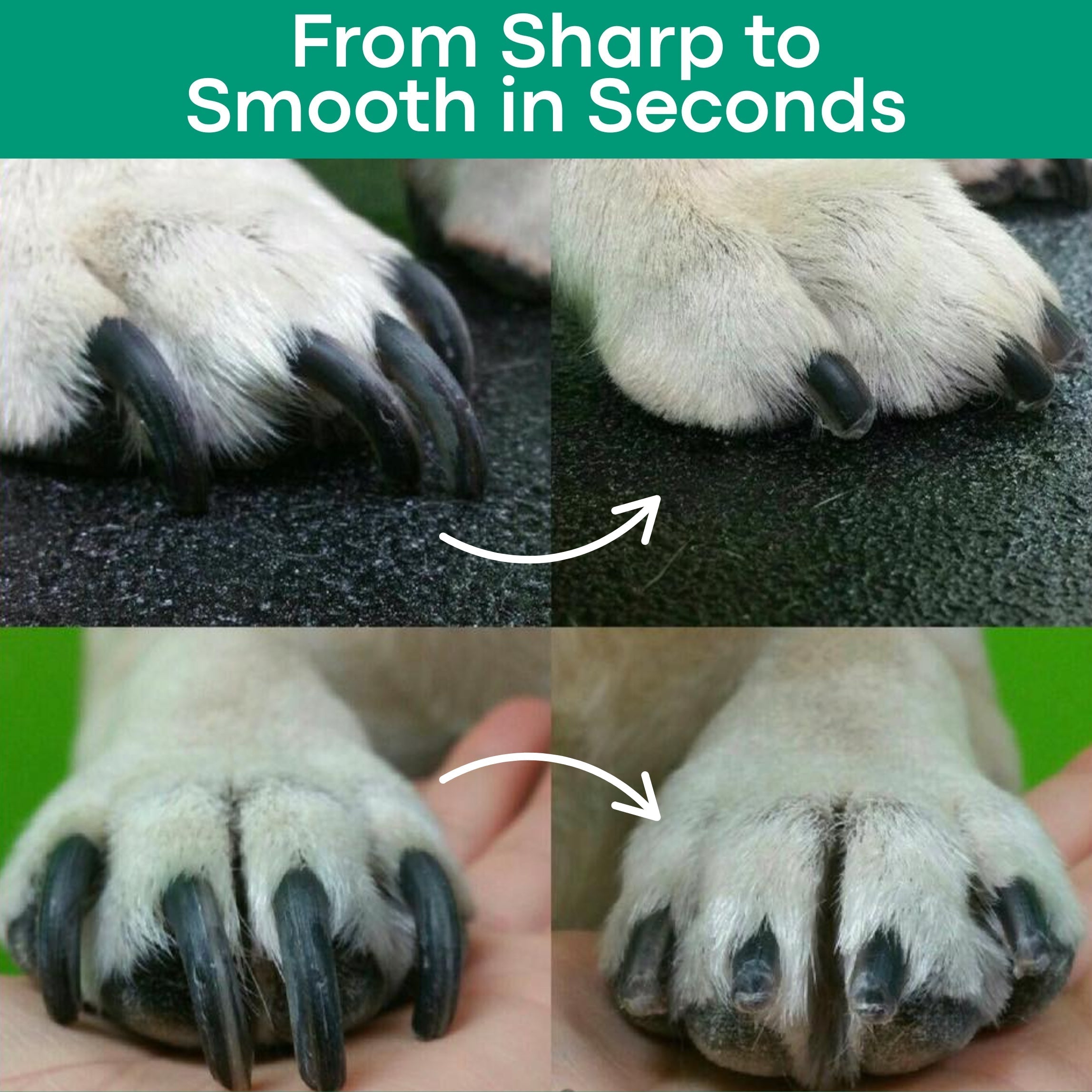 LumaClip - A Fear-Free Nail Trim