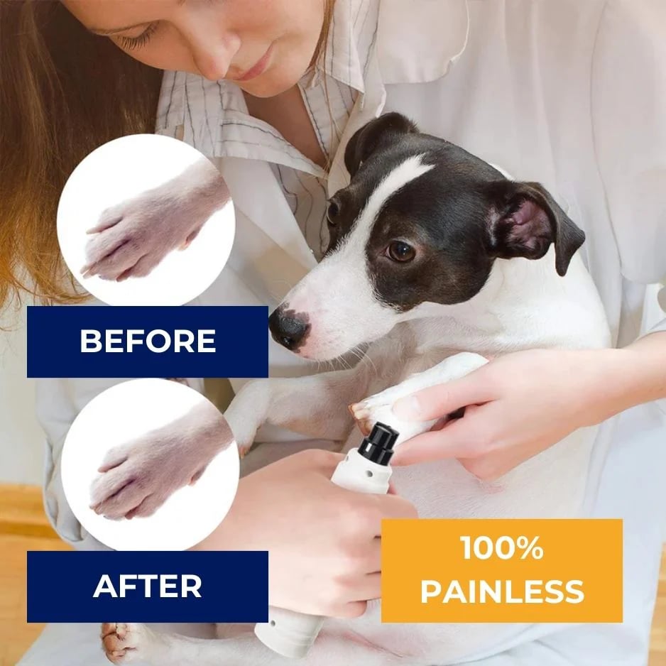 Professional LED Pet Nail Clippers