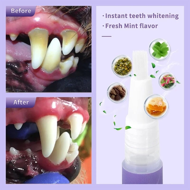 VitaSmile™ — Transform Your Pet’s Smile with Pain-Free Freshness | 1+1 FREE