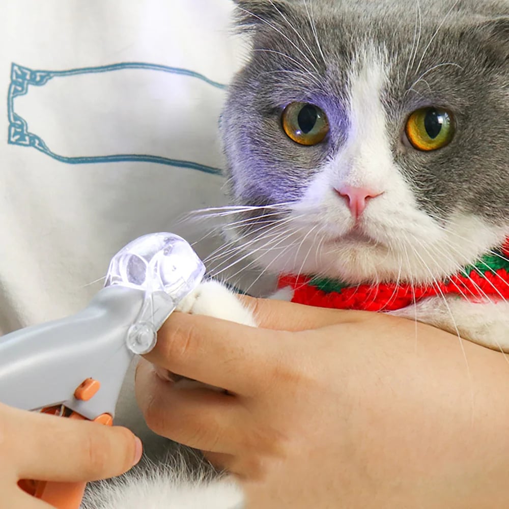 Professional LED Pet Nail Clippers