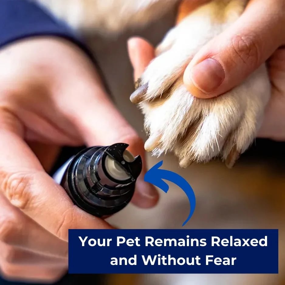 Professional LED Pet Nail Clippers