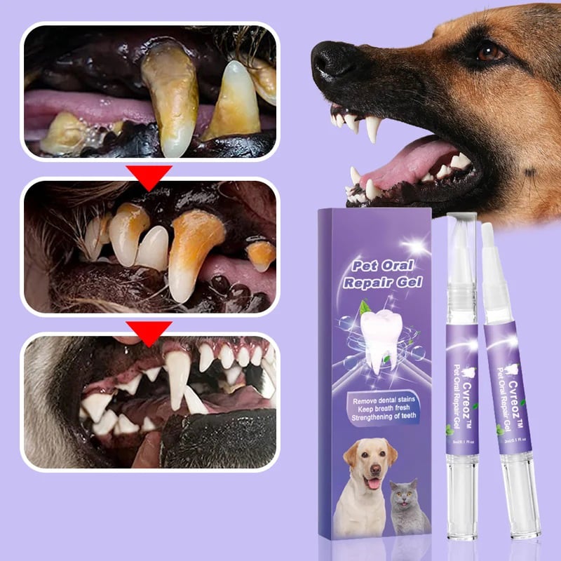 VitaSmile™ — Transform Your Pet’s Smile with Pain-Free Freshness | 1+1 FREE
