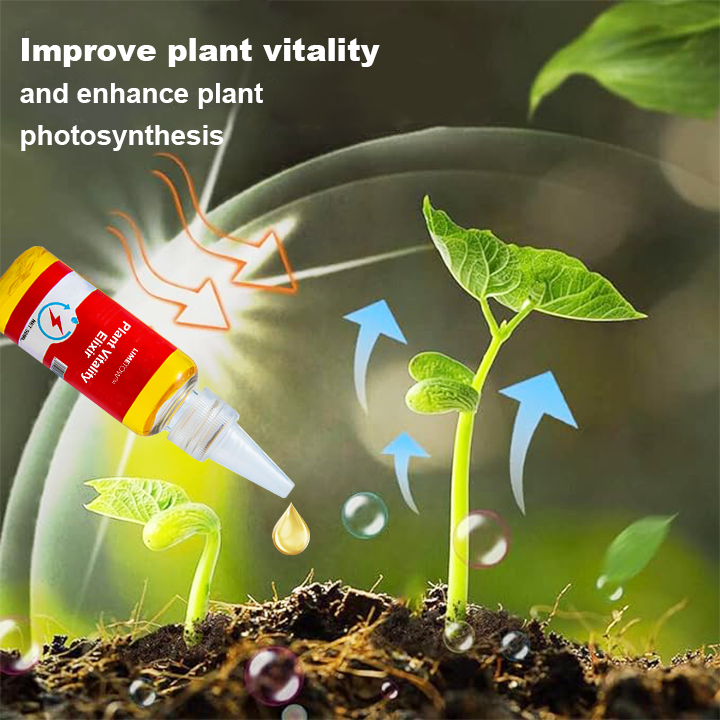 VeroVita™ — Ignite Giant Growth and Unleash Your Garden’s Wildest Potential | 1+1 FREE