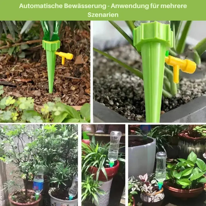 12-Pack Adjustable Self-Watering Spikes for Potted Plants | 1+1 Free