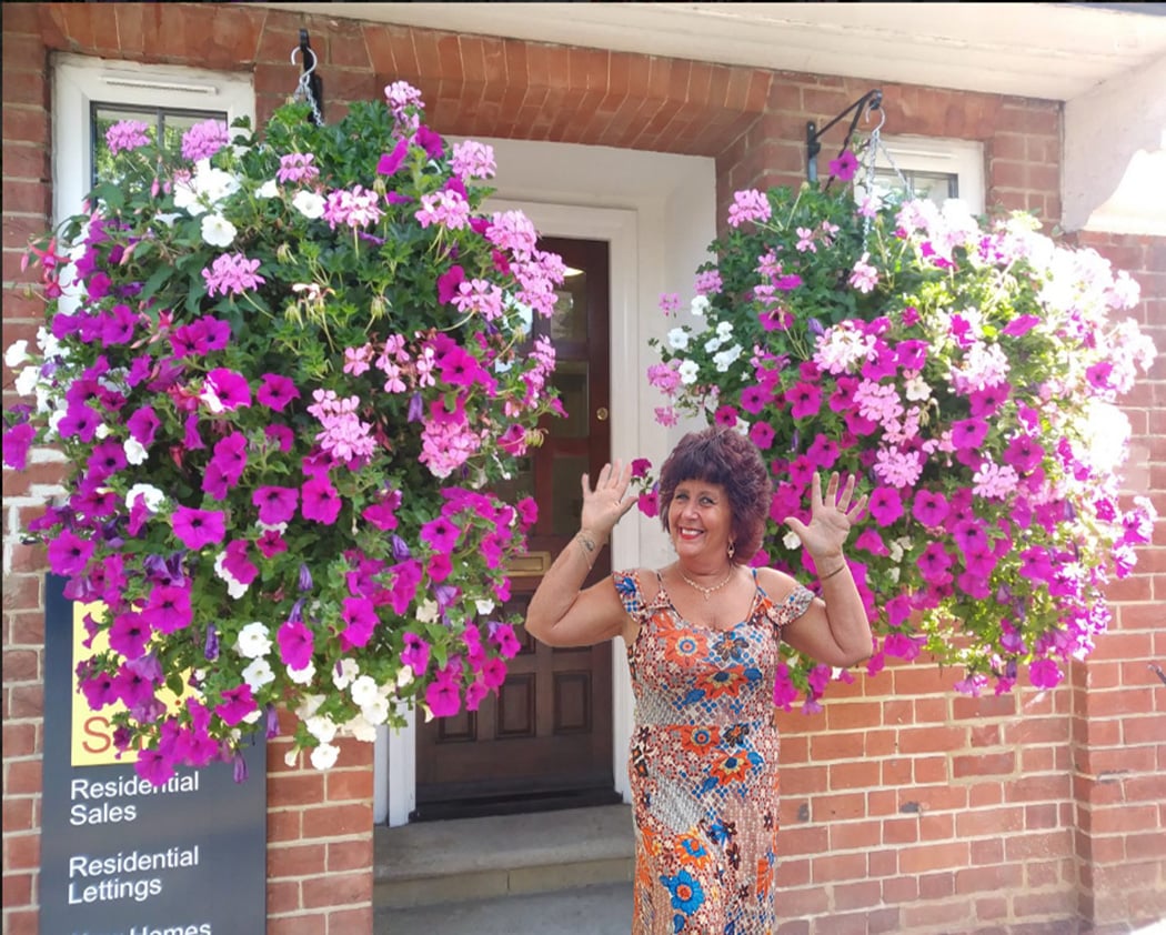 Artificial Morning Glory