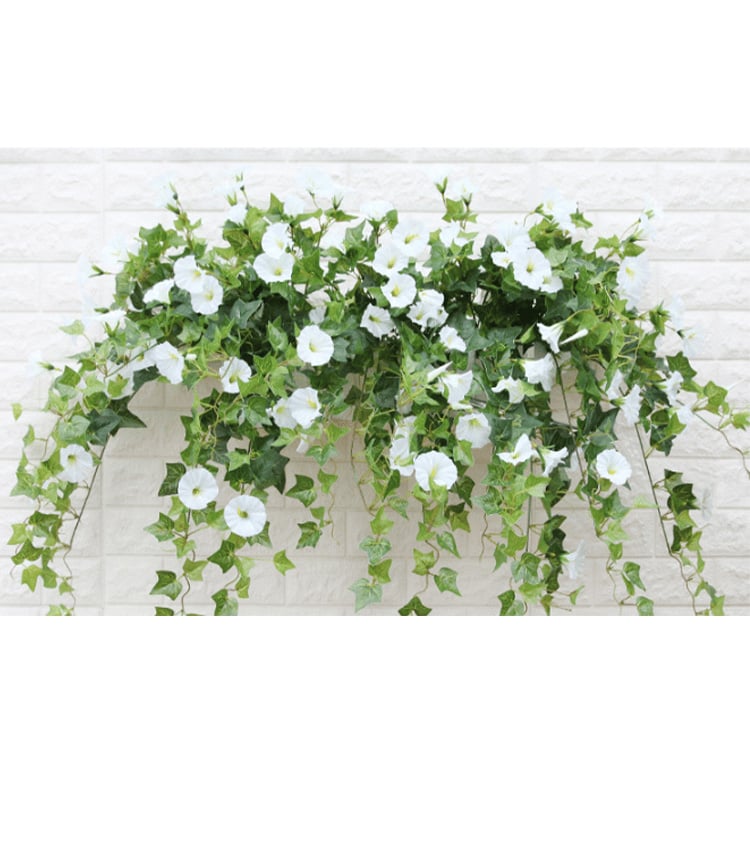 Artificial Morning Glory