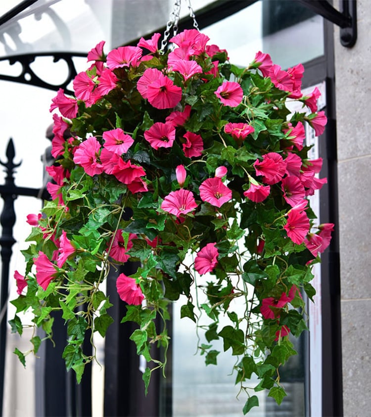 Artificial Morning Glory